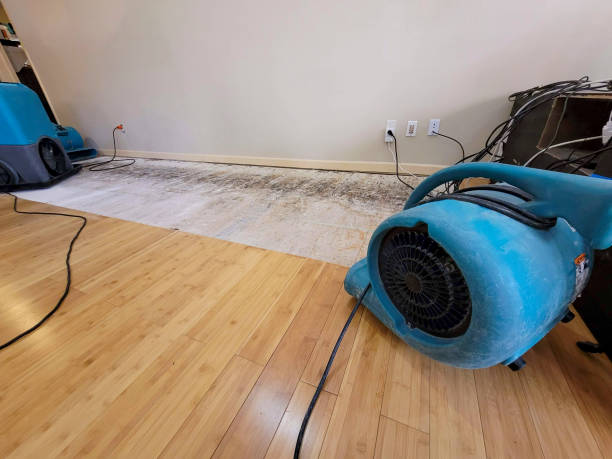 Professional Sewage Cleanup technician working in Como, CO